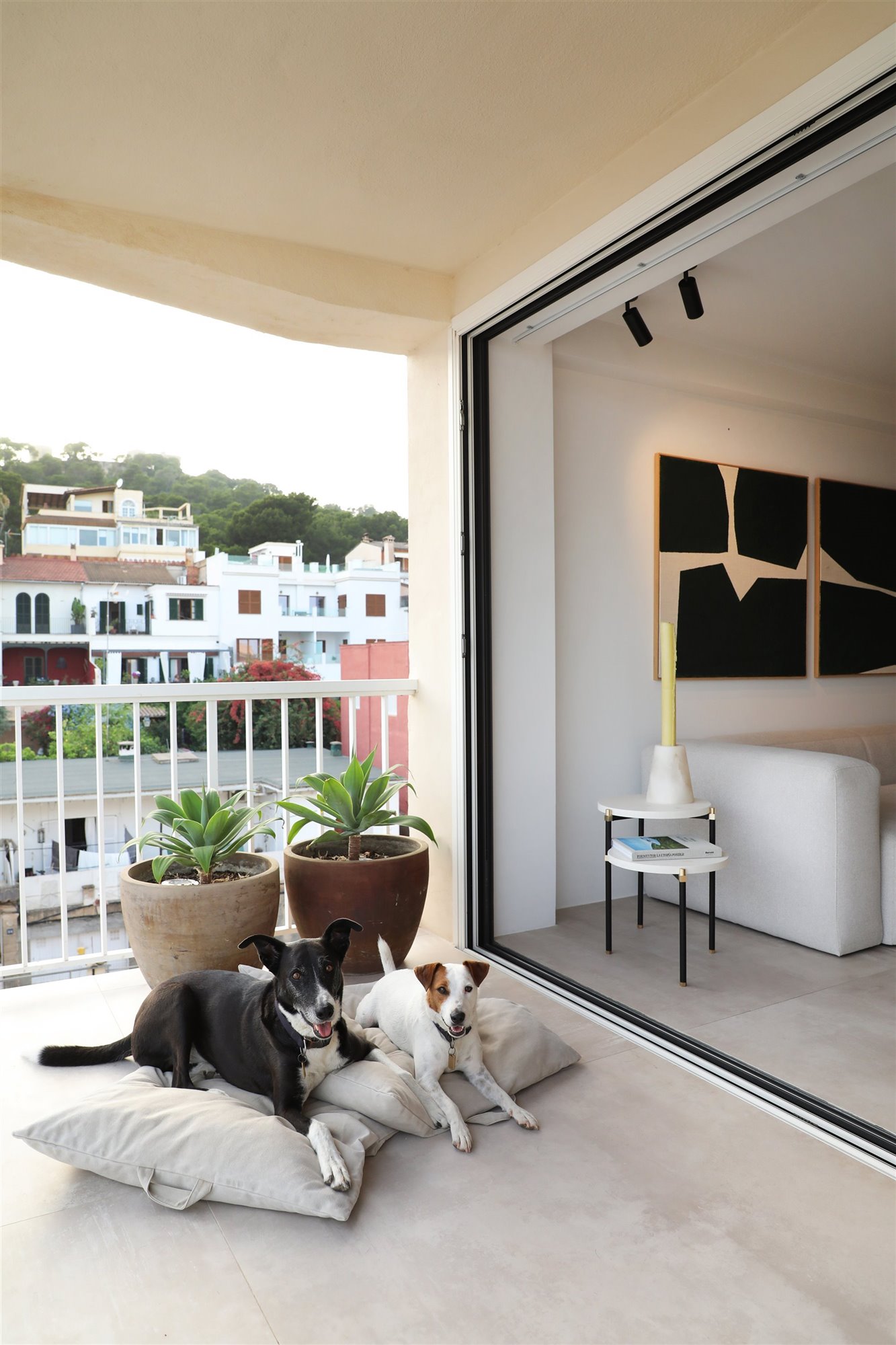 terraza perros contain mallorca 
