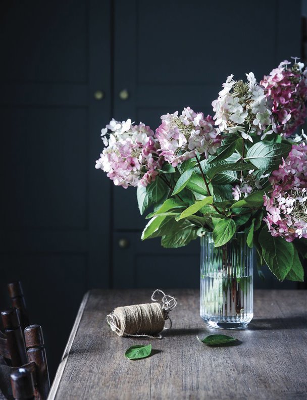 Cómo cuidar tus hortensias y potenciar su color 