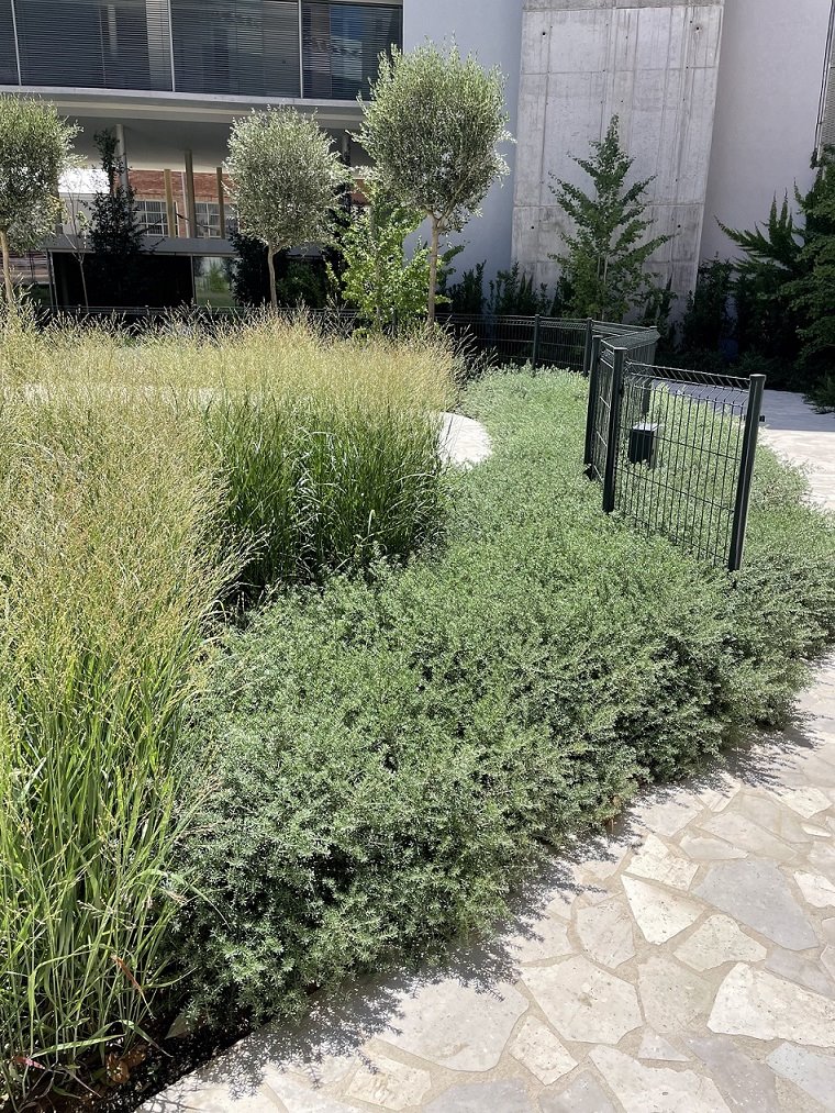 Esta filosofía apuesta pos los arbustos y plantas autóctonas