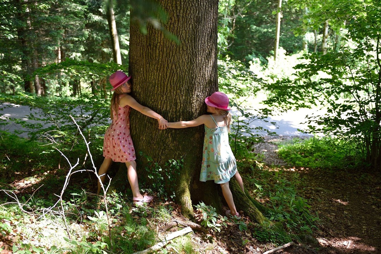 Educar en la naturaleza también es ayudar a las plantas.