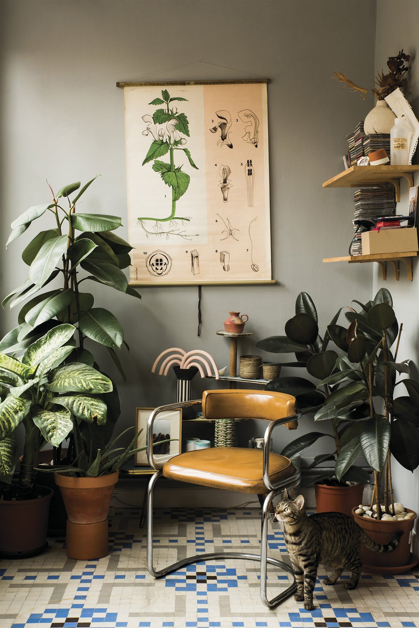 Libro Barcelona Interiors salon