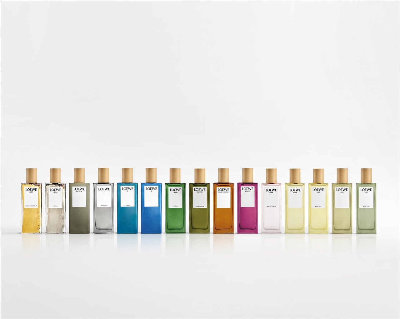 Botanical Rainbow 2022