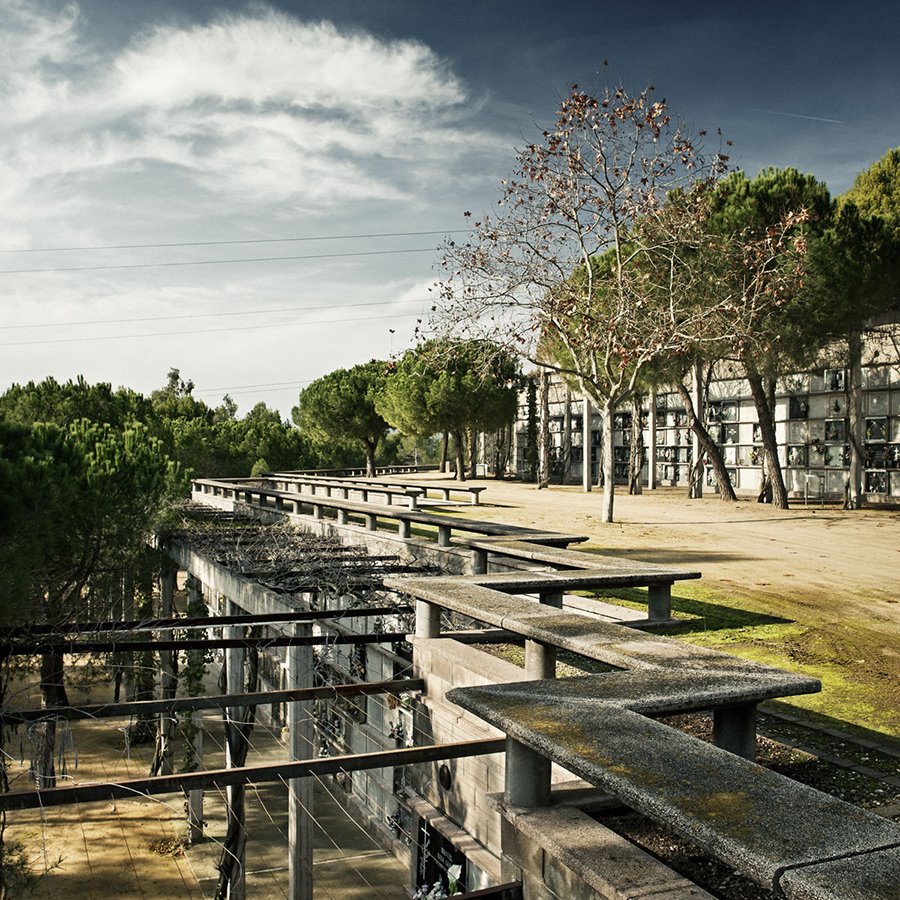Como una jardín abandonado