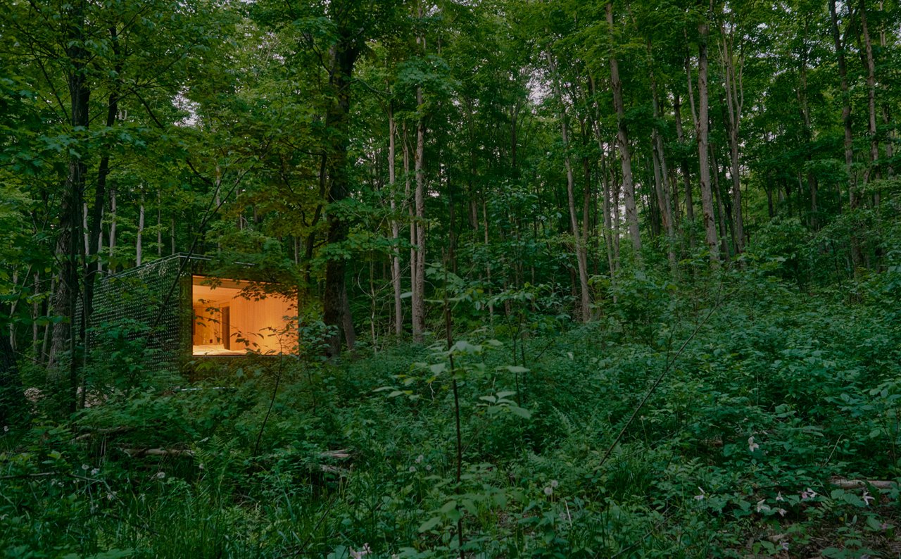 La cabaña se mimetiza con el bosque.