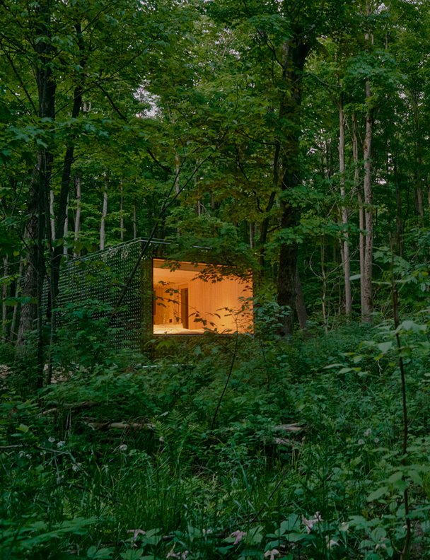 Esta cabaña invisible que se mimetiza con el bosque es además segura para los animales