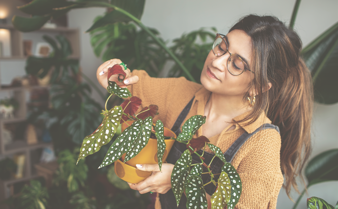 "Con las plantas nunca sufriremos la obsolescencia programada", dice Clara Redondo, conocida como @plantitiscronica