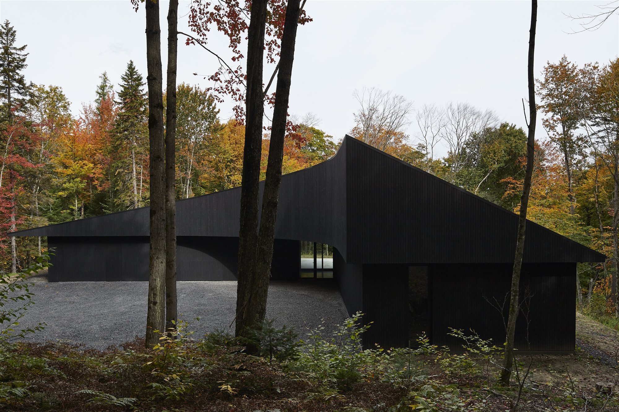 Casa en el bosque. Con un solo techo