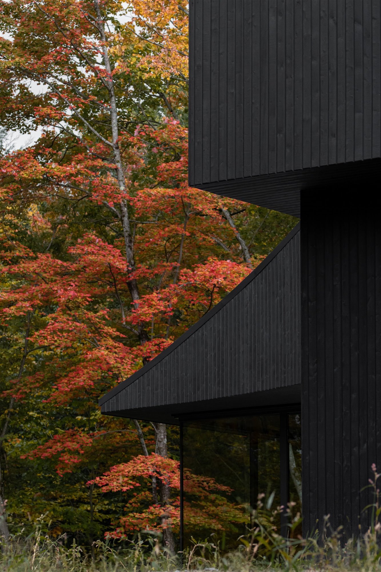 Casa en el bosque. Un disposición lineal