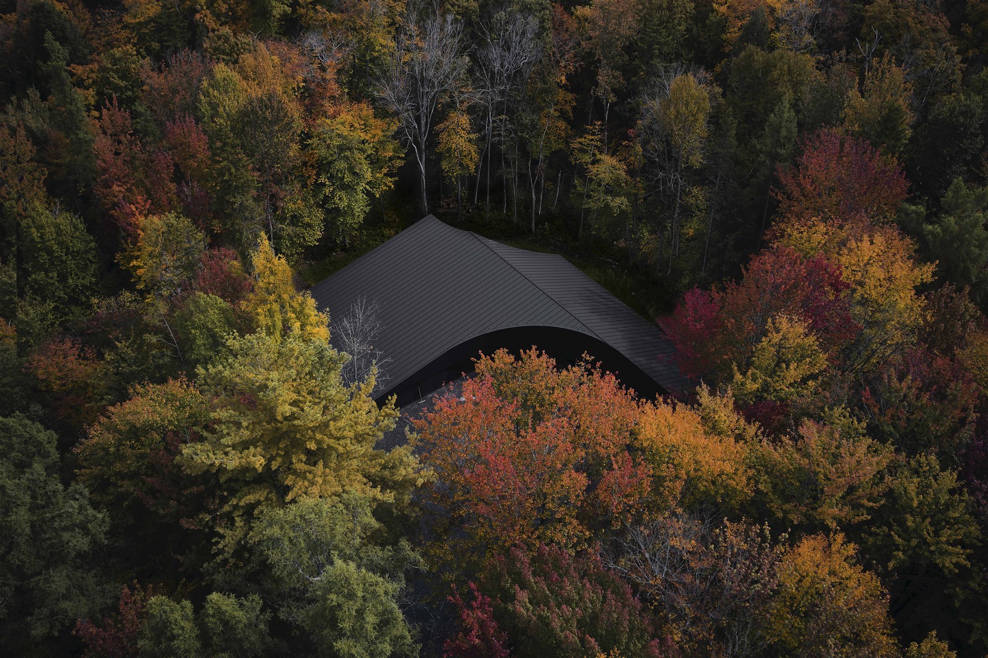 Casa en el bosque. Un refugio dentro del bosque