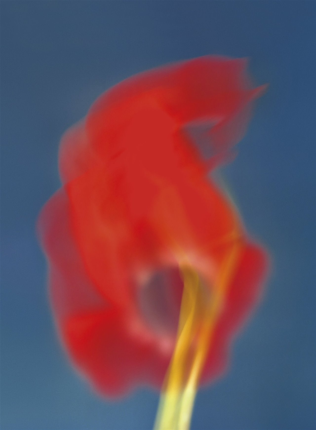 Paula Codoñer expuso en Alzueta Gallery (Barcelona) en julio de 2021