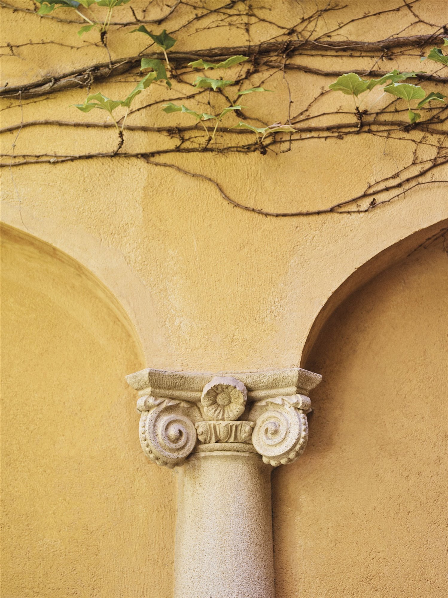 Casa Leopoldo Pomés columna