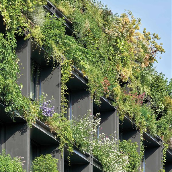 Arquitectura que minimiza el cambio climático