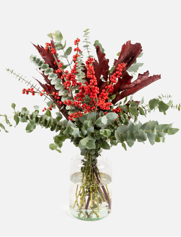 10 plantas que NO son la Flor de Pascua para una Navidad diferente y original