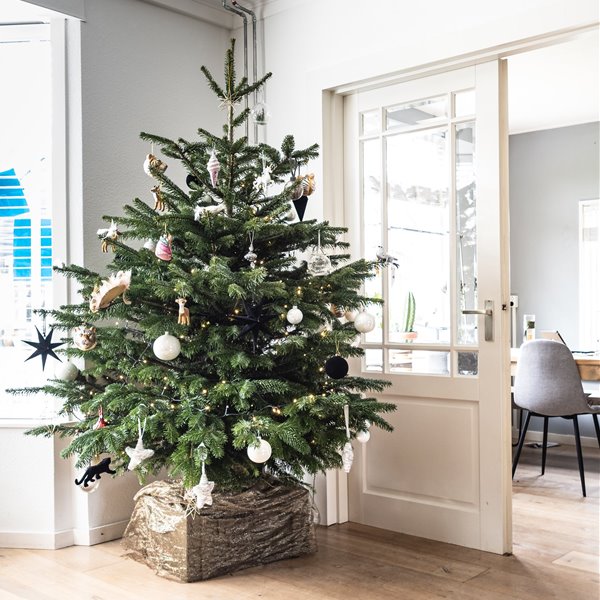 ¿Belén, árbol de Navidad, los dos o nada? Esto es lo que opinan los interioristas (y nos dan sus consejos más navideños) 