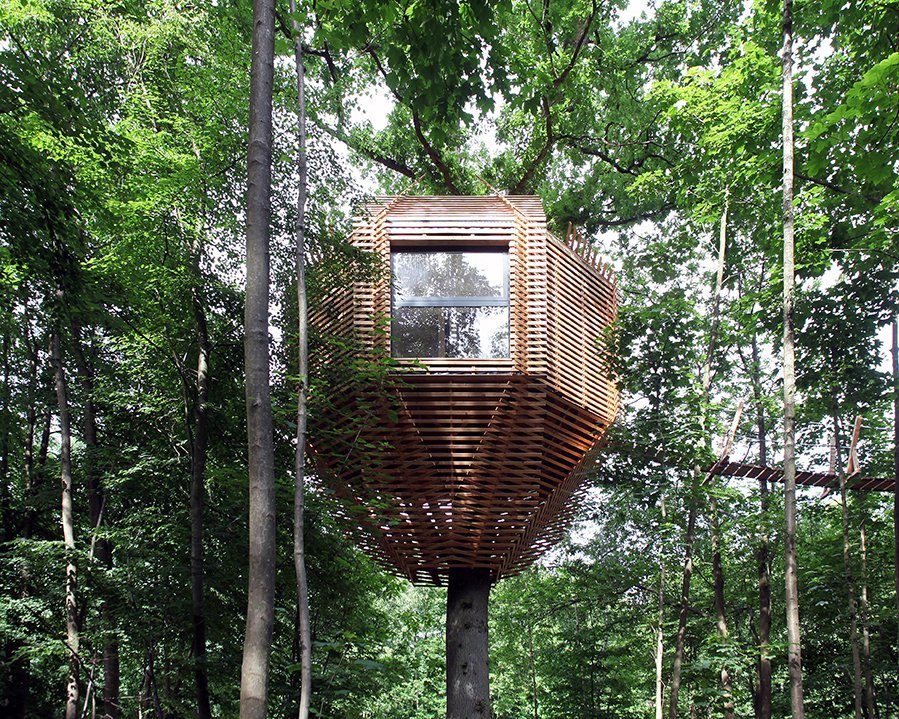 casa arbol atelier lavit 