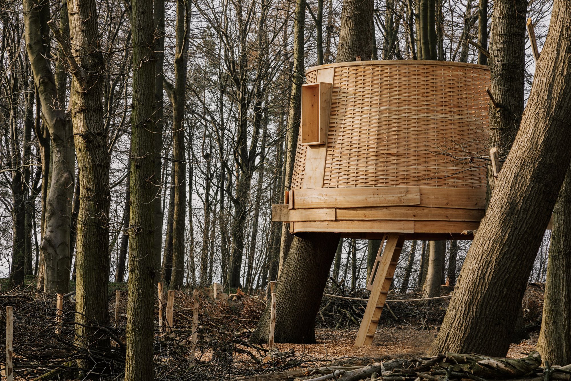 casa árbol madera 