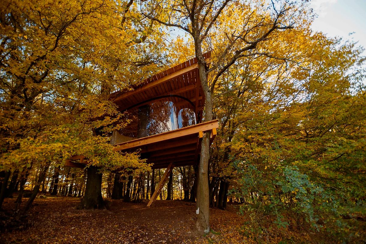 Casa en árbol