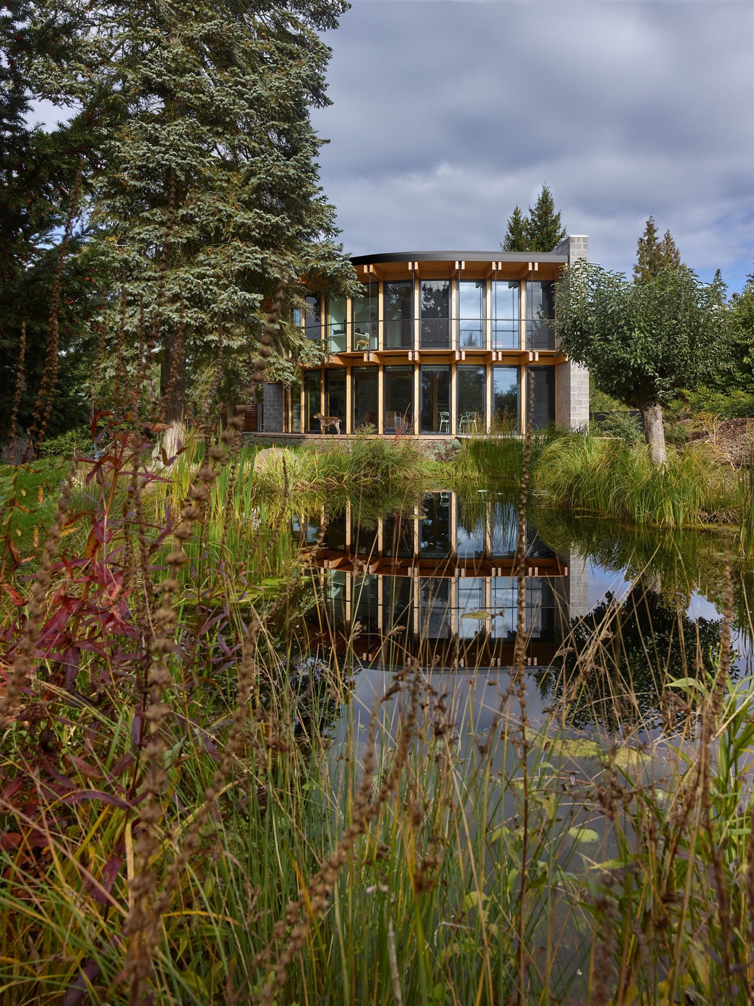stempel-tesar-house-that-open-up-to-the-sun-filip-slapal-08