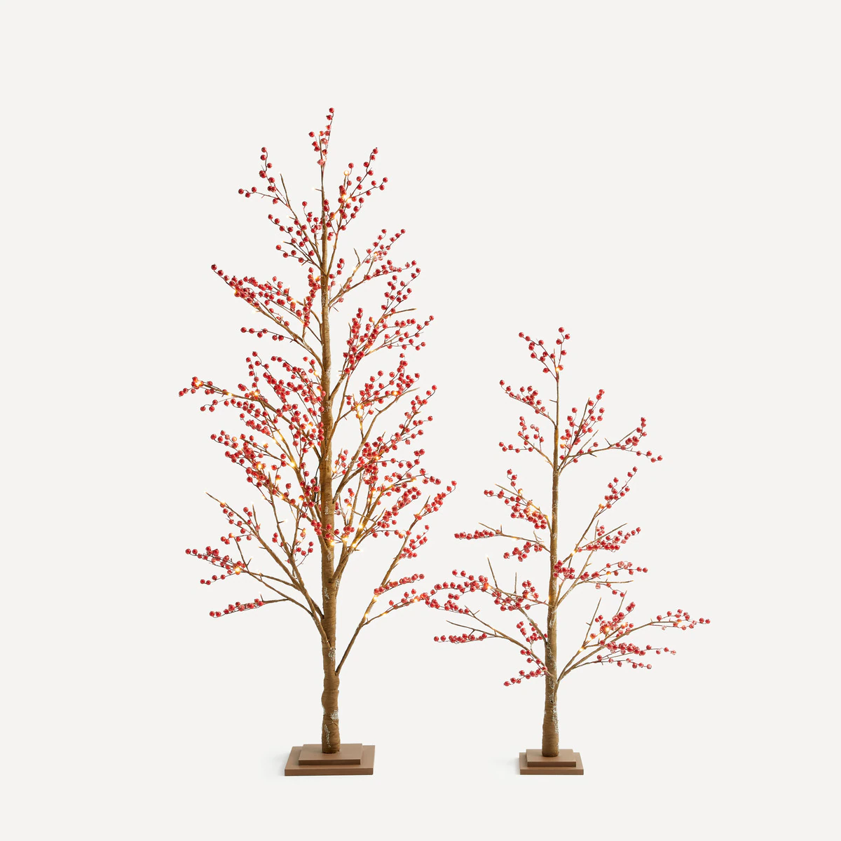 arbol-berry-eci 
