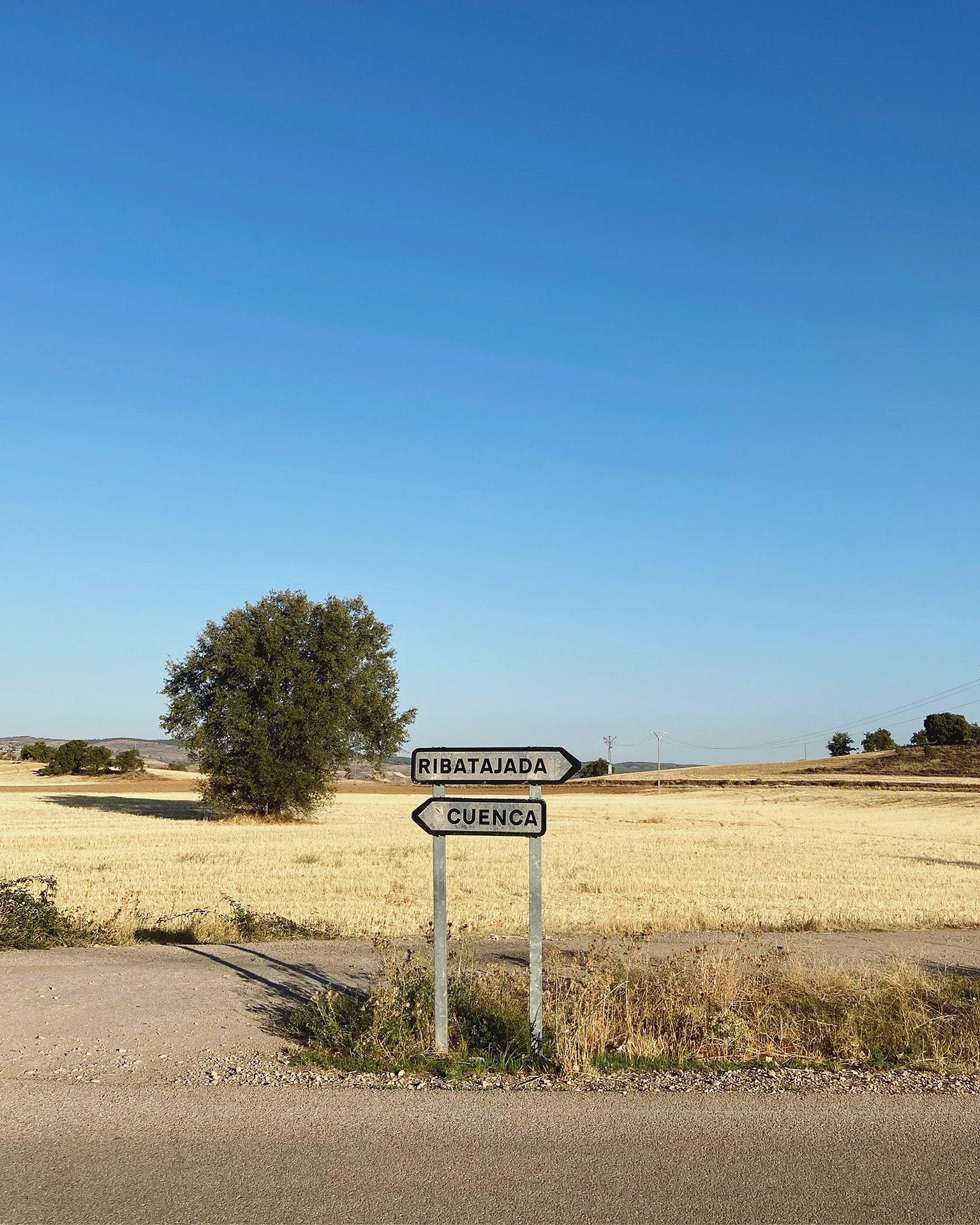 CASTILLA LA MANCHA GANADORA Laura Rodr¡guez Triguero @castafioredixit