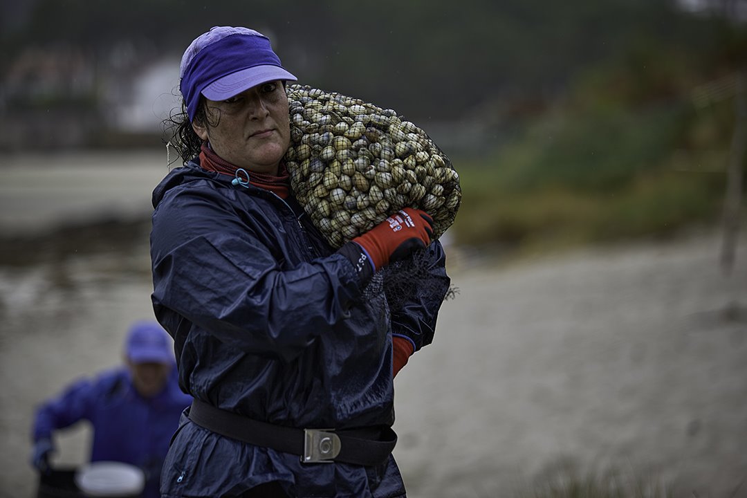 GALICIA GANADOR Pedro Garc¡a Losada @pedrogalophoto