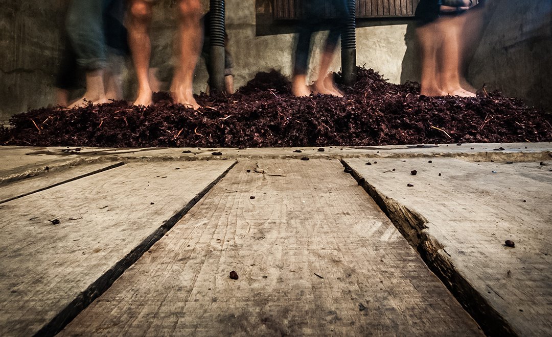 LA RIOJA 登gel Valencia @anvalog