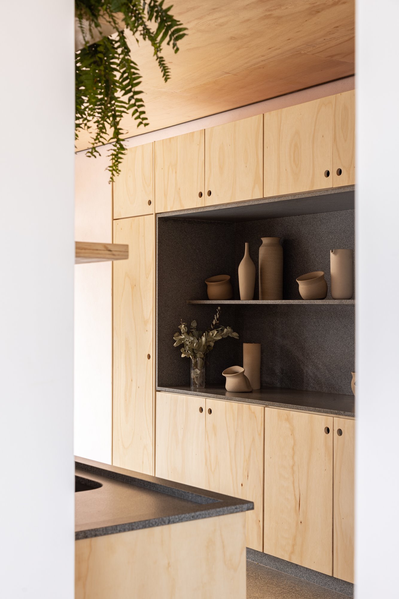 Casa Cata-Vento. Madera contrachapada