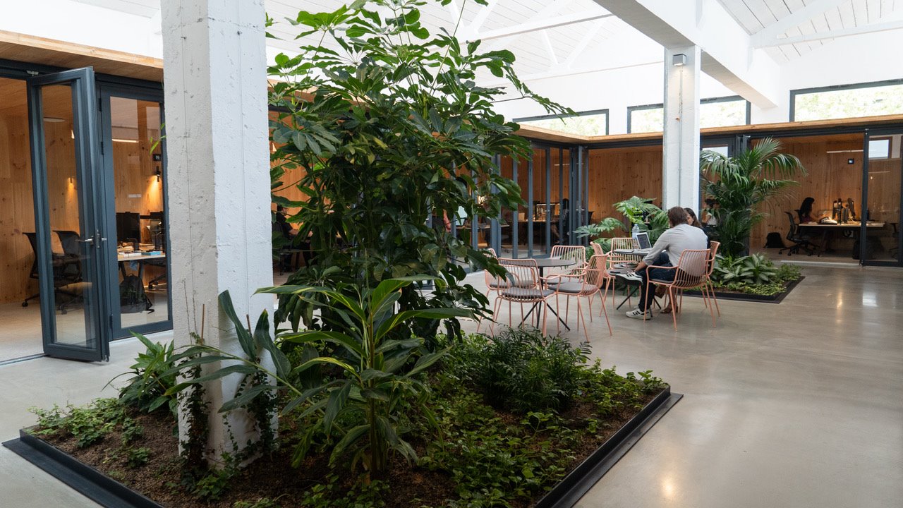 En la parte de las oficinas se han ideado unos espacios con forma de “donut” que permiten organizar el trabajo en círculo para los diferentes equipos, rodeando un jardín interior en cada uno de ellos y conectados entre sí.