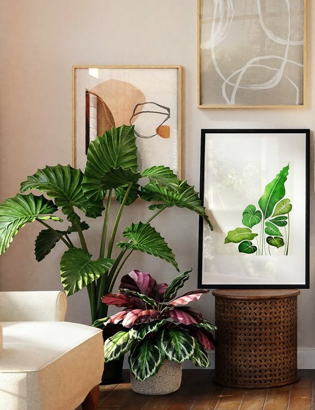 Por muy mal que se te den las plantas, estas son inmortales (y tú serás feliz)