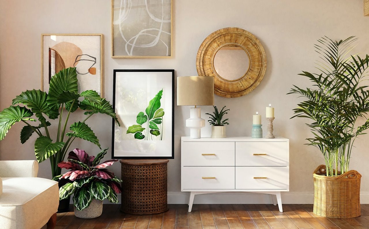 Plantas de interior