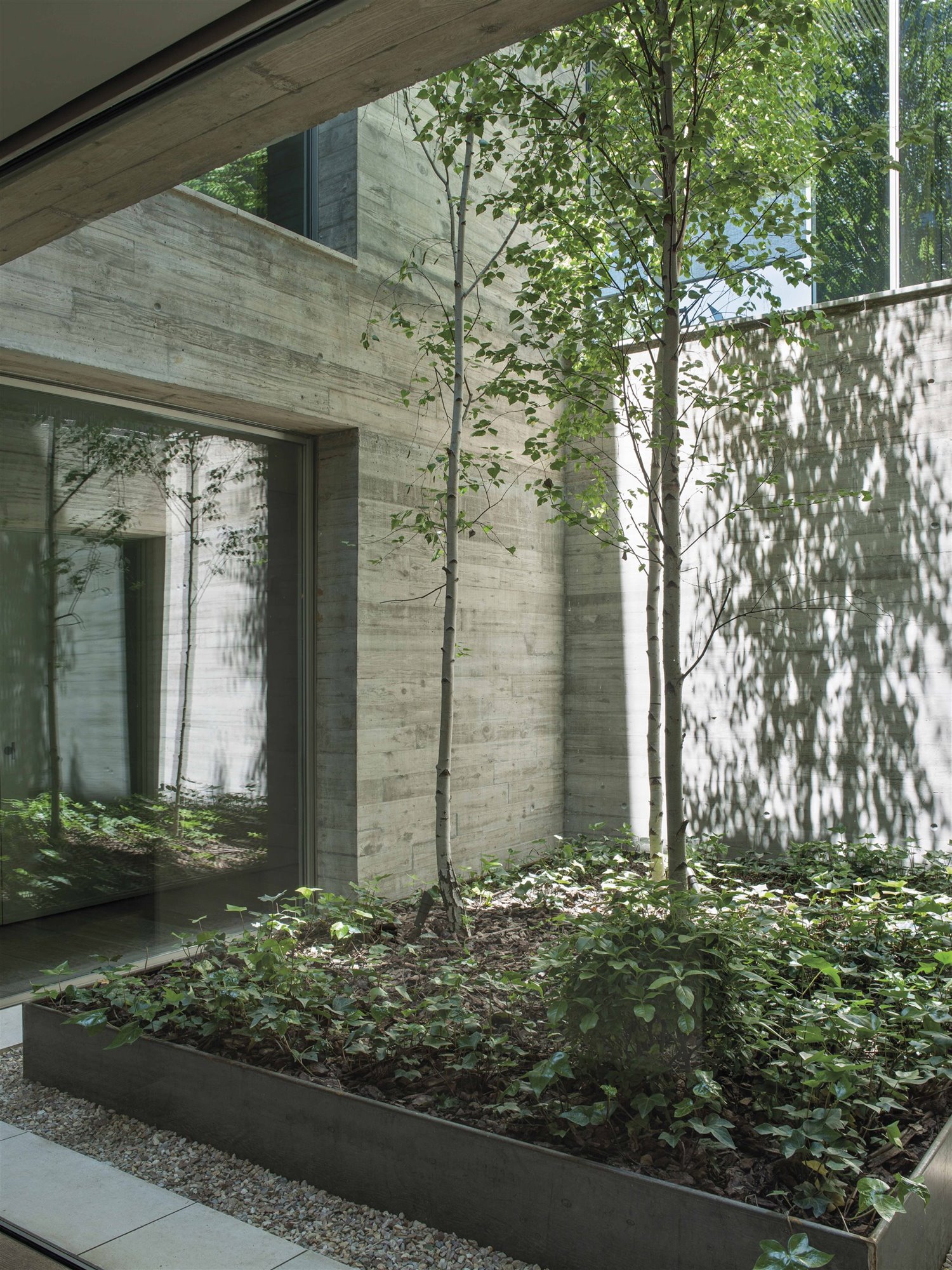 casa hormigon belen domecq patio