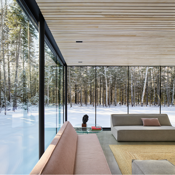 Esta moderna casa de cristal tiene un precioso manzano que crece en su patio central