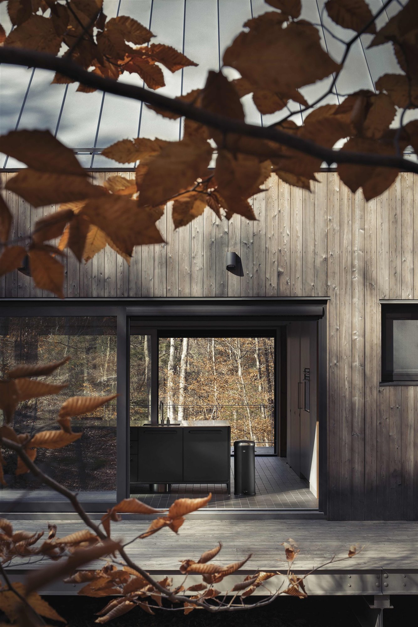 Catskills refugio en el bosque exterior