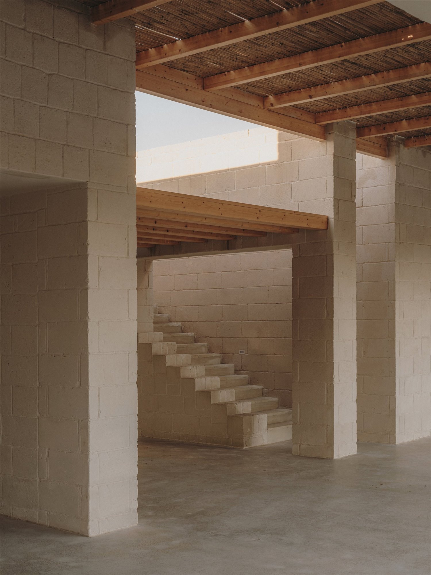 studio andrew trotter salva lopez carovigno puglia 7