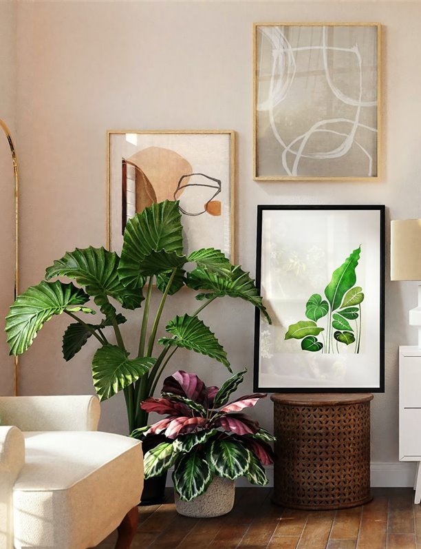 Las 10 mejores tiendas online para comprar plantas 