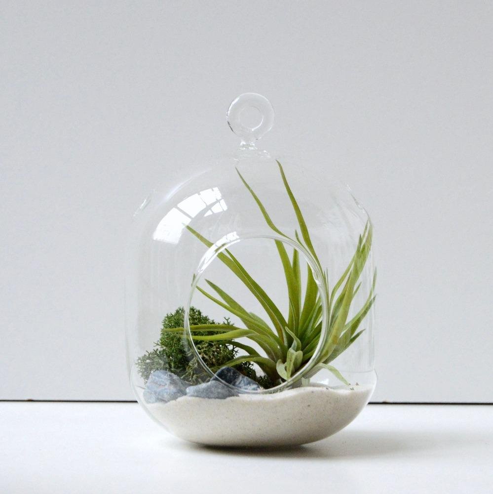plantas de aire buzo