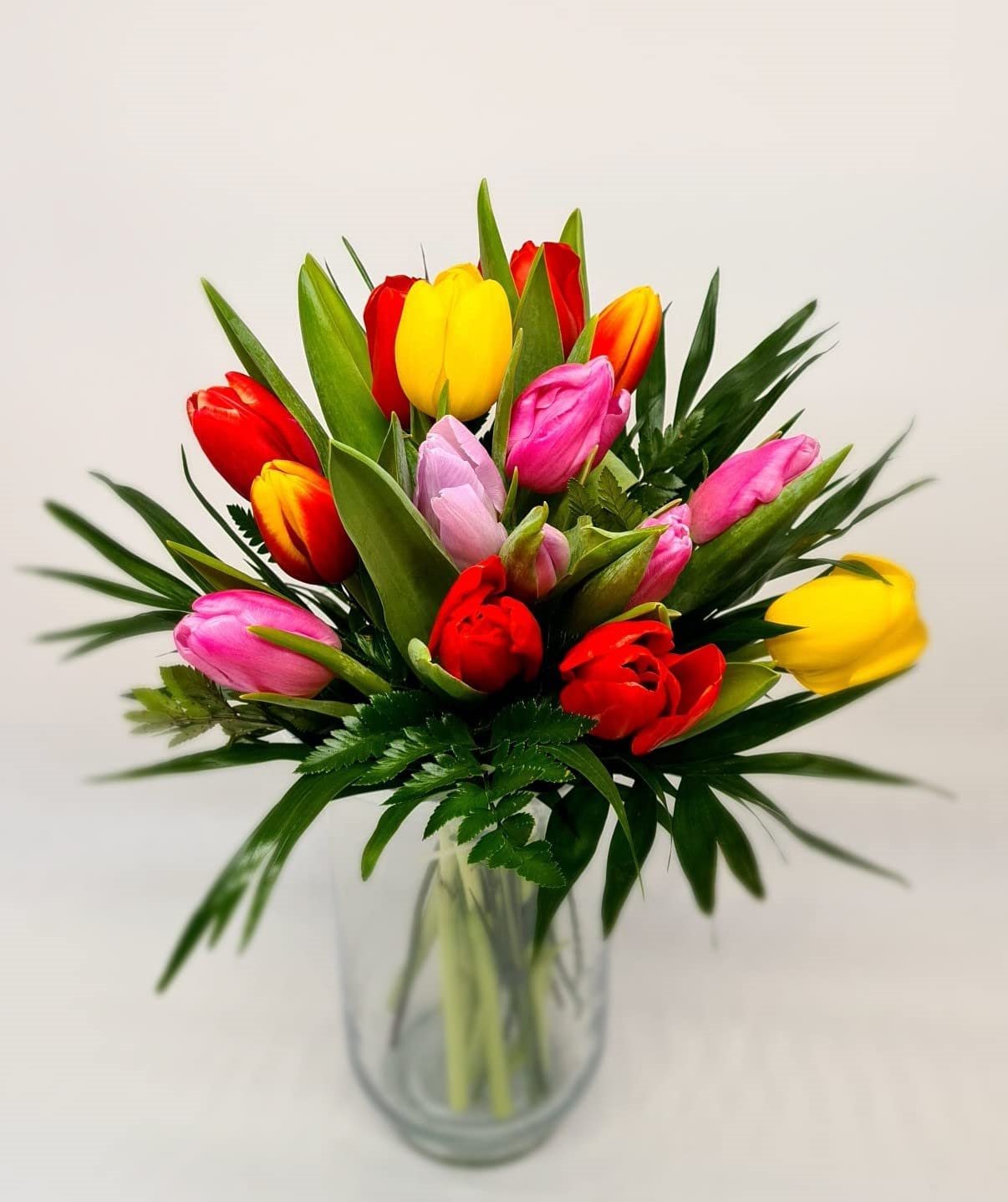 tulipanes amazon