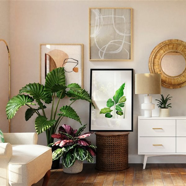 Las 10 mejores tiendas online para comprar plantas 