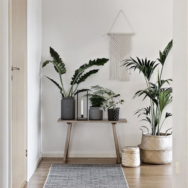 Recibidor con banco y plantas en la entrada