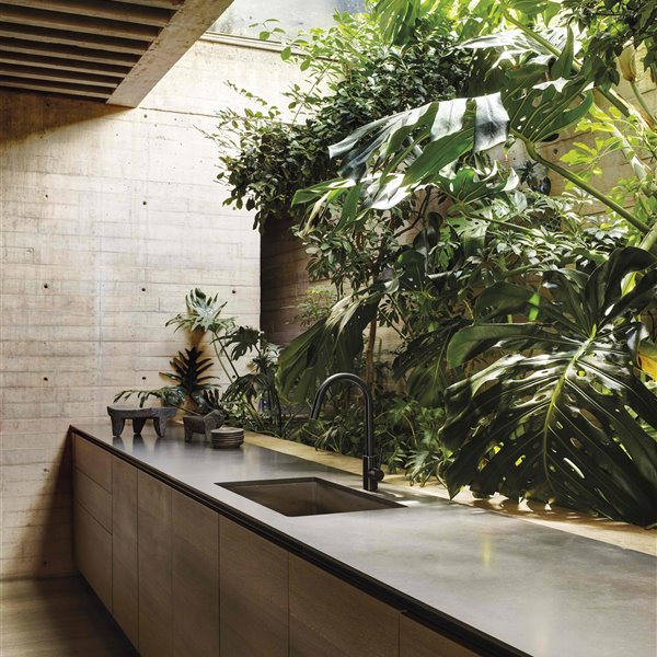 Manuel Cervantes casa mexico baño selva 