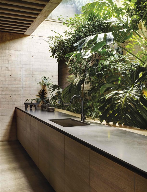 ¿Qué es una cocina-selva? Esta casa ha inventado el concepto que querrás copiar