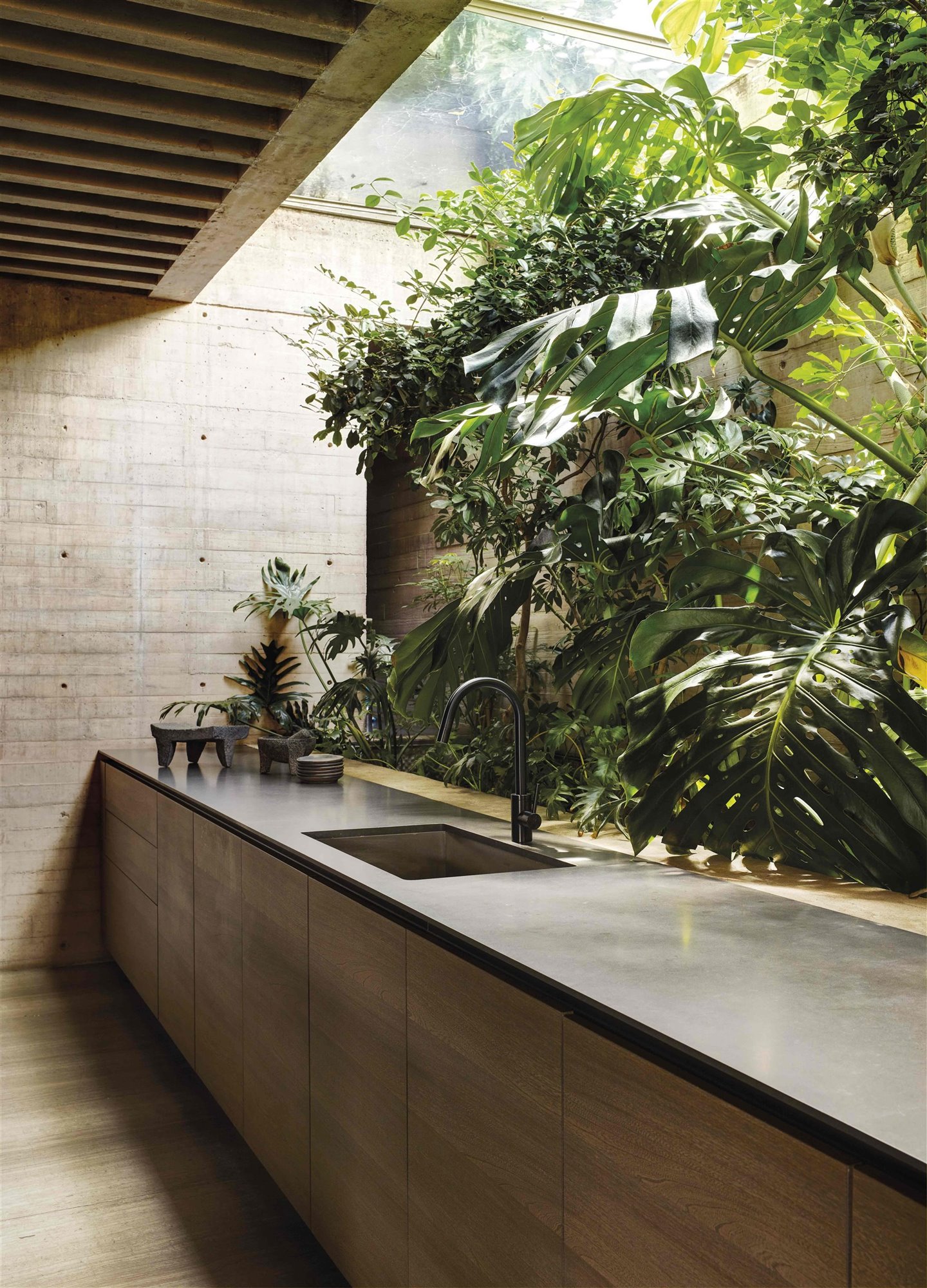 Manuel Cervantes casa mexico baño selva