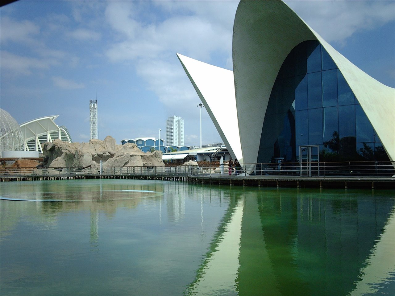 Oceanográfic, el acuario más grande de Europa.