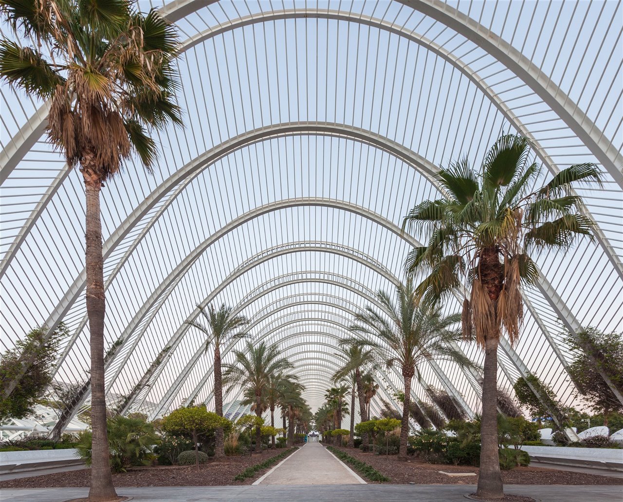 Umbracle, paseo ajardinado en la Ciudad de las Artes y las Ciencias.