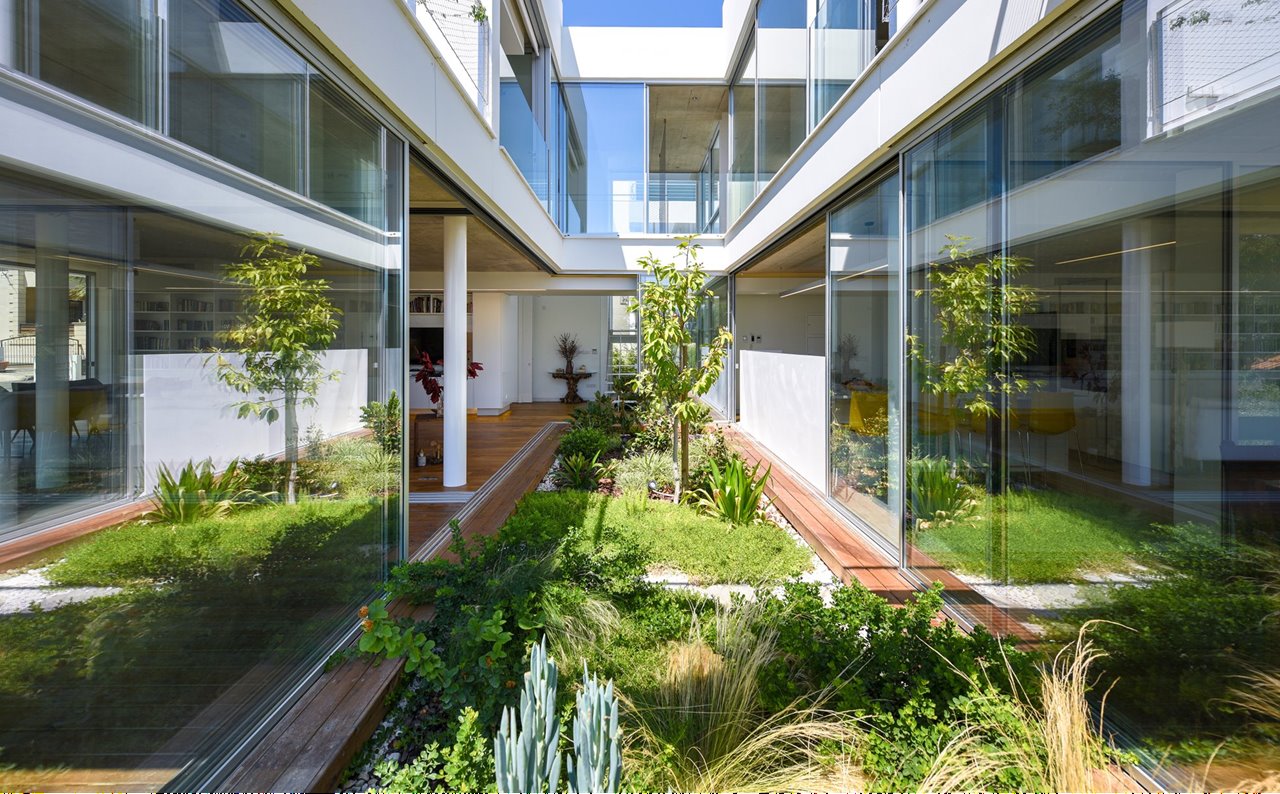 Patio interior con plantas de una casa moderna