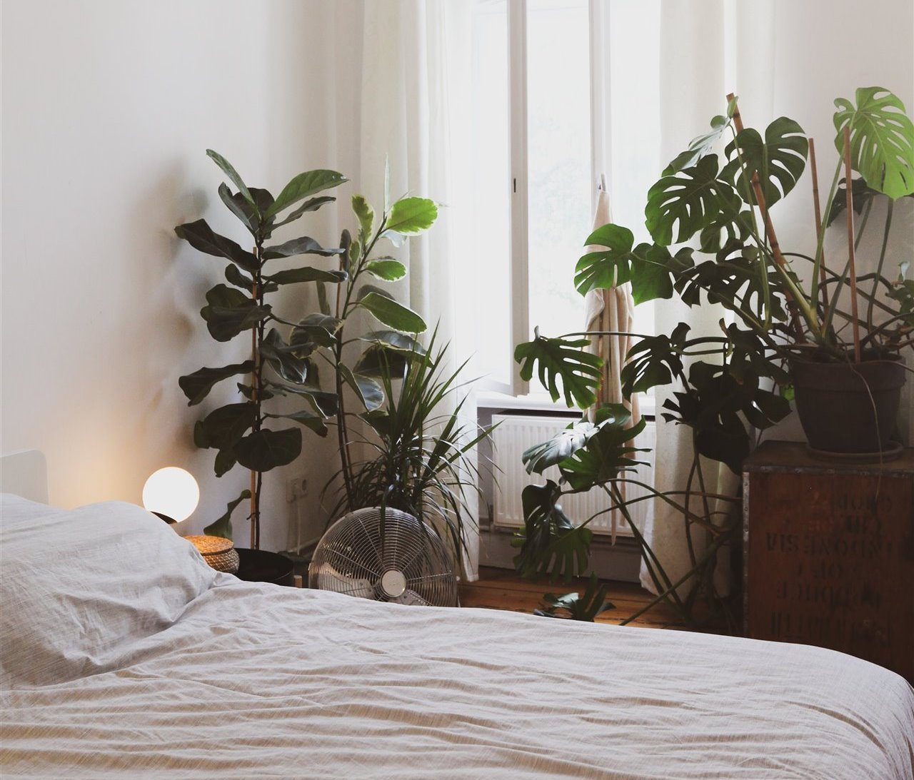 Dormitorio con plantas