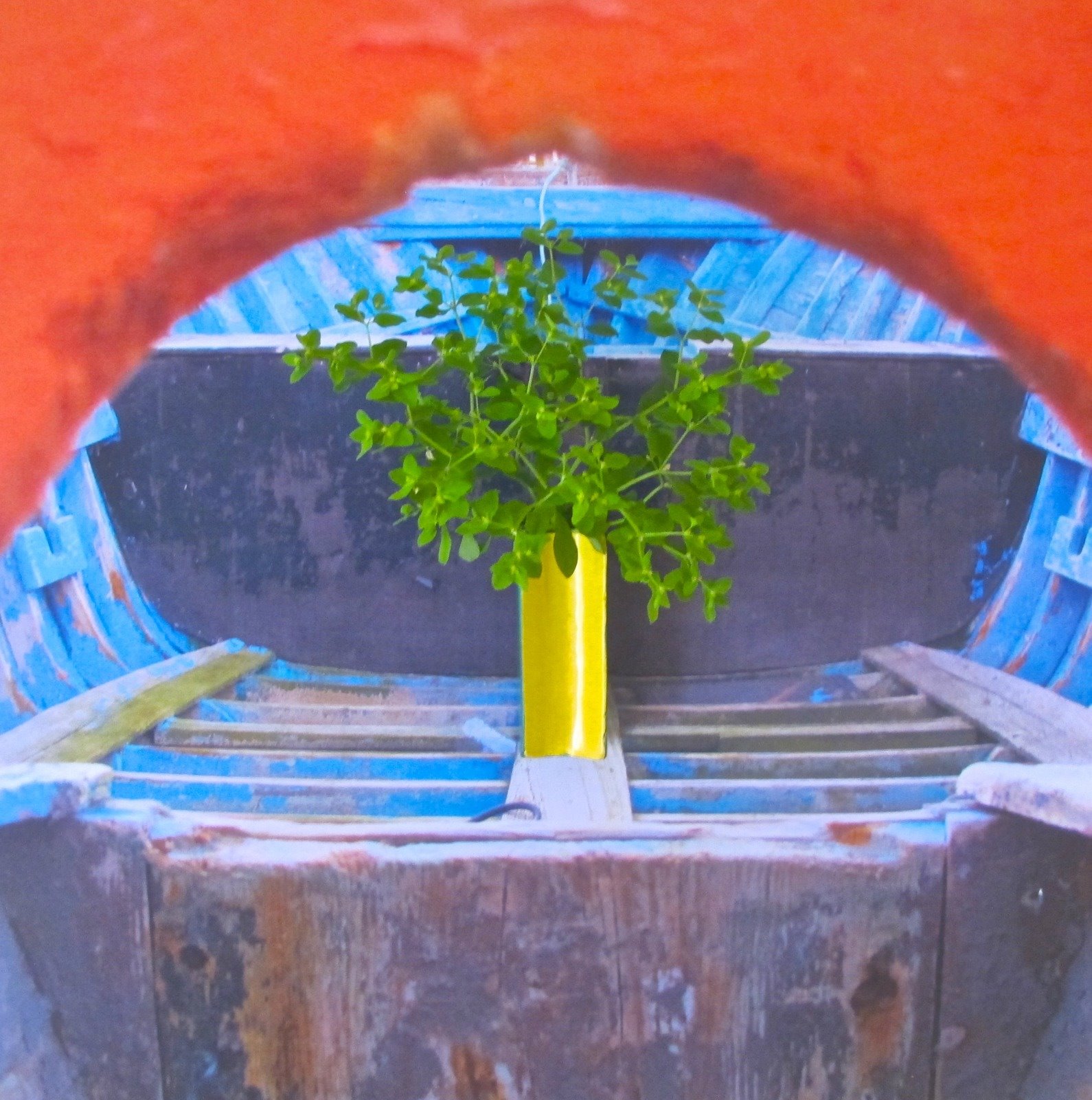 amaltea bionic photo. Honevo