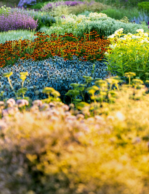 La importancia de los jardines, así serán en el futuro