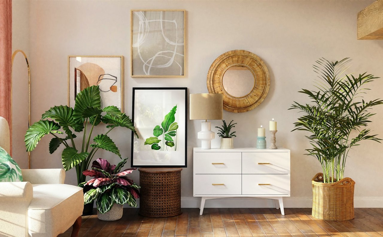 Plantas de interior