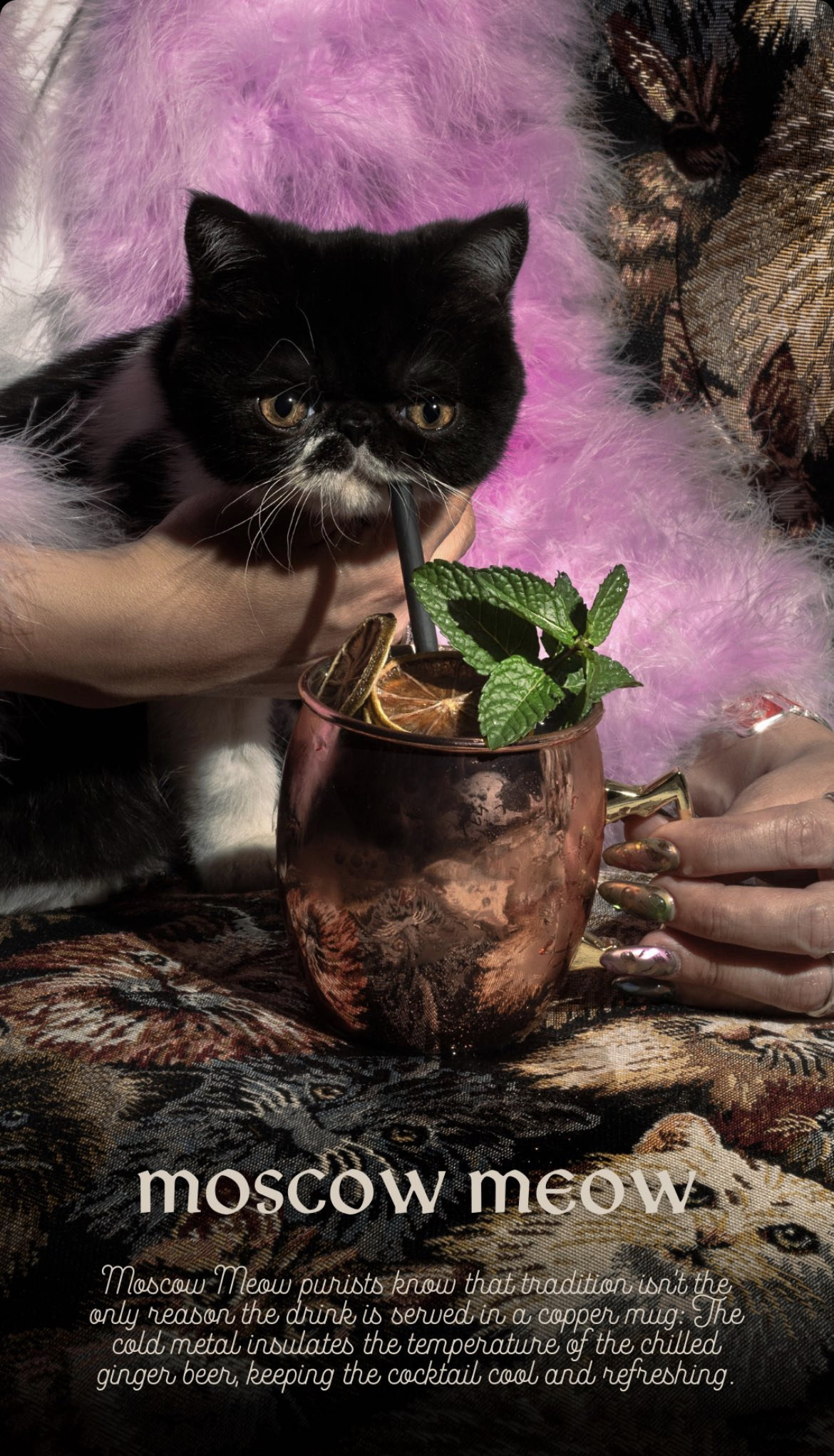 Una identidad pensada por y para los amantes de los cocteles (y los gatos, claro).
